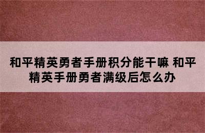 和平精英勇者手册积分能干嘛 和平精英手册勇者满级后怎么办